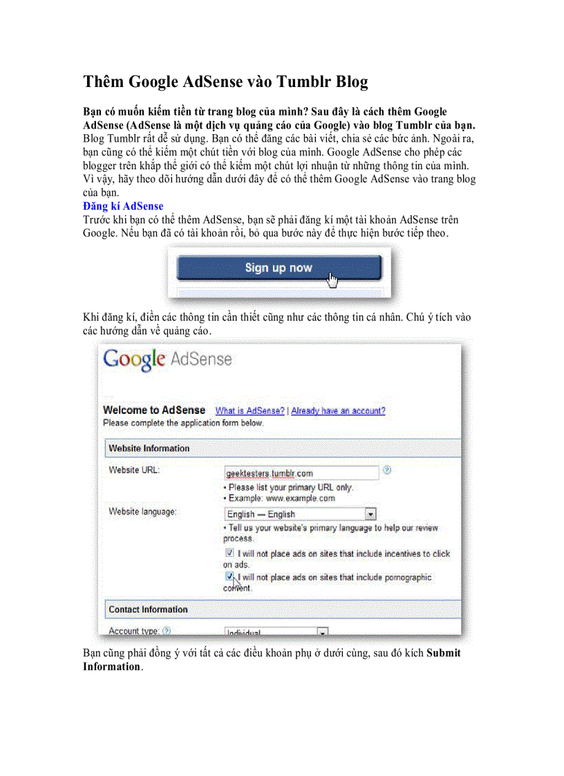 image for page Thêm Google AdSense vào Tumblr Blog