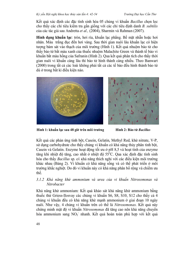 image for page Định danh các vi khuẩn chuyển hóa đạm bằng phép thử sinh hóa và kỹ thuật sinh học phân tử