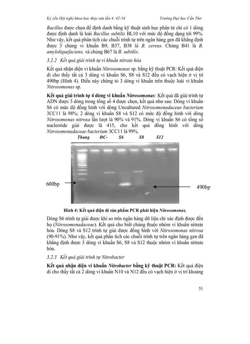 image for page Định danh các vi khuẩn chuyển hóa đạm bằng phép thử sinh hóa và kỹ thuật sinh học phân tử