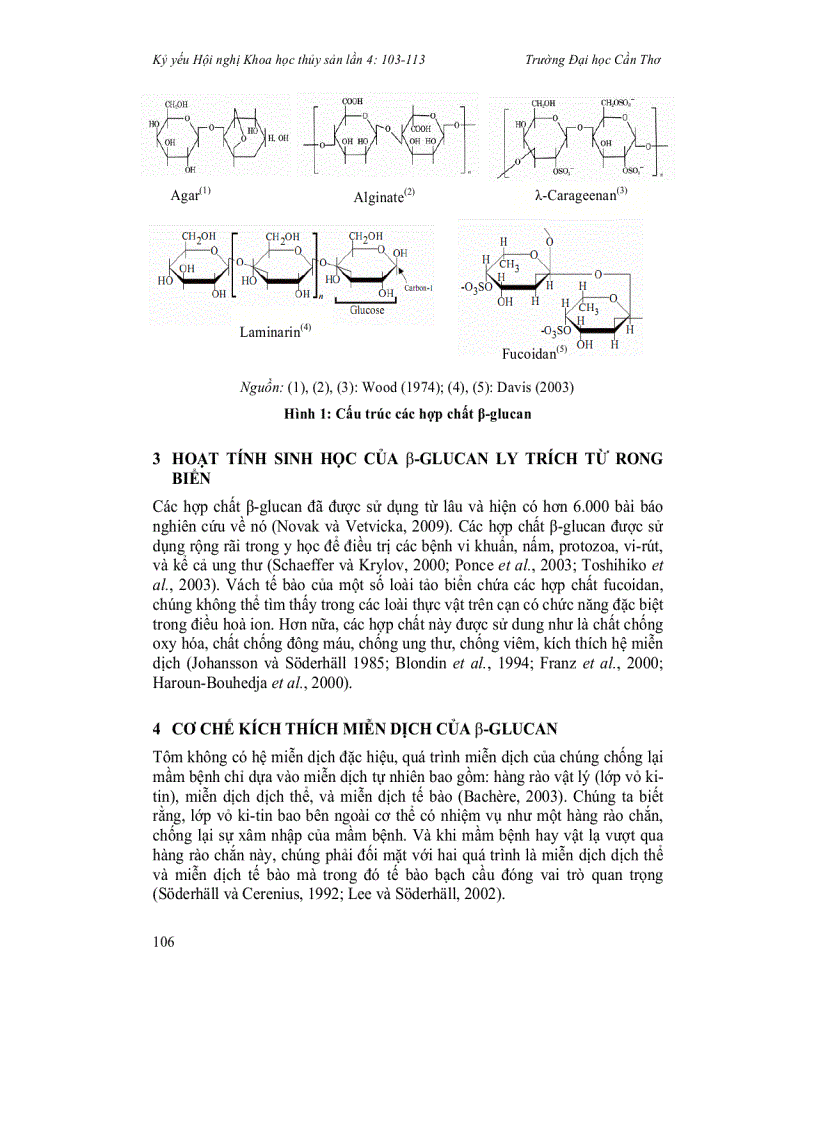image for page Sử dụng chiết suất β glucan từ rong biển để tăng sức đề kháng của tôm biển Tổng quan