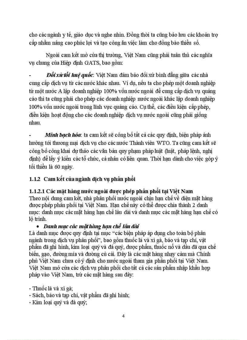 image for page Phân tích cam kết của Việt Nam với WTO về dịch vụ phân phối và đánh giá tác động của những cam kết này với dịch vụ phân phối ở Việt Nam như thế nào