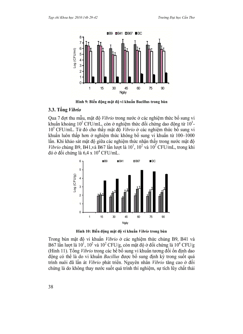 image for page Biến động các yếu tố môi trường và mật độ vi khuẩn Bacillus sp trong bể nuôi tôm sú Penaeus monodon