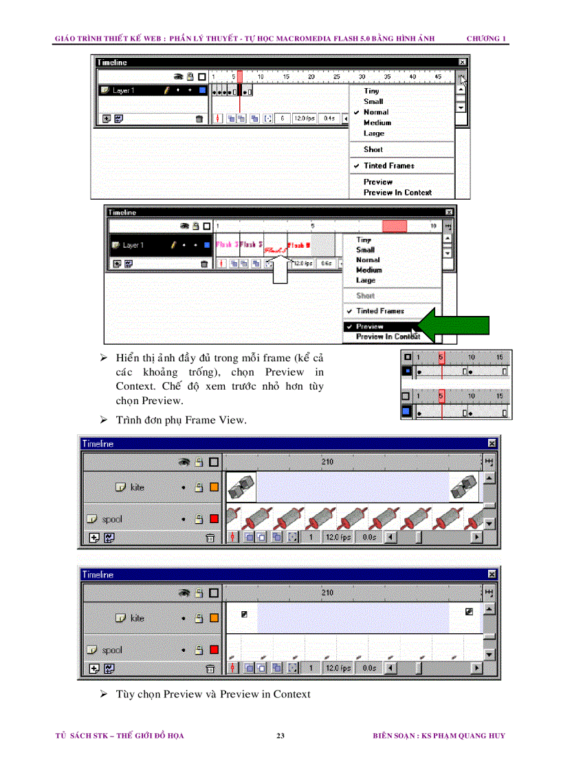 image for page Tổng quan về Flash 5