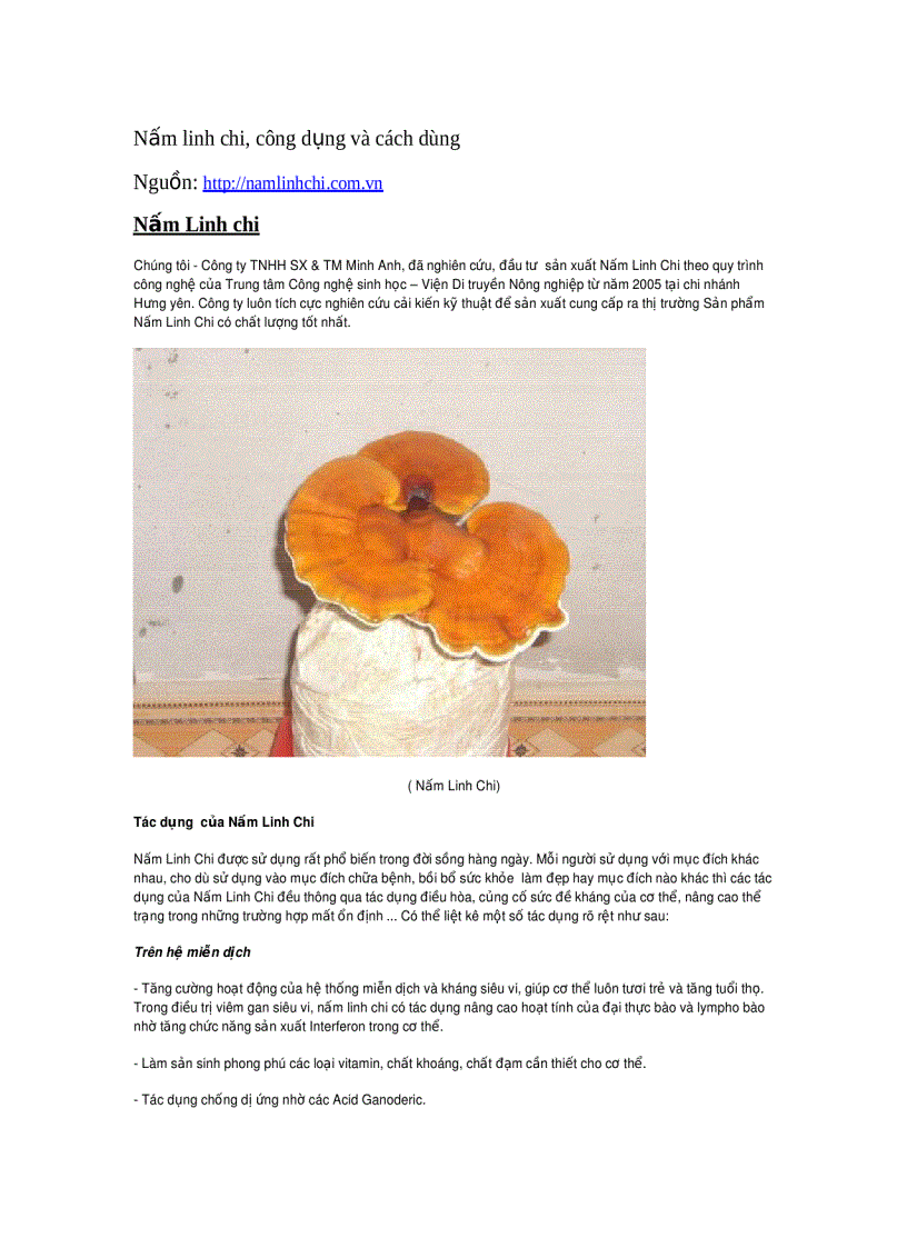 image for page Nấm linh chi công dụng và cách dùng