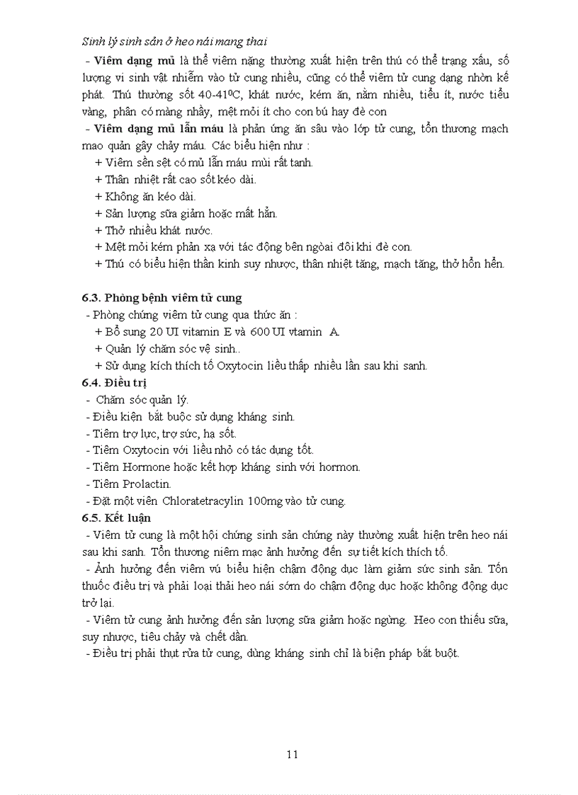image for page Đề tài Sinh lý sinh sản ở heo nái mang thai và một số bệnh thường gặp trên heo nái
