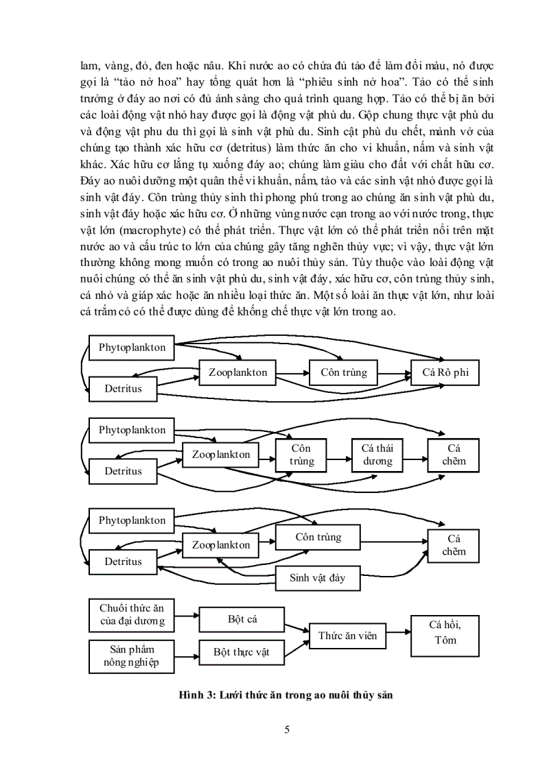 image for page Quản lý chất lượng nước ao nuôi thủy sản