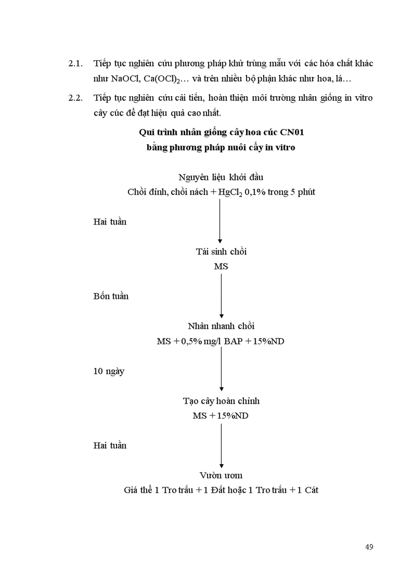 image for page Nghiên cứu xây dựng quy trình nhân giống cây hoa cúc CN01 Standard chrysanthemum bằng phương pháp nuôi cấy in vitro