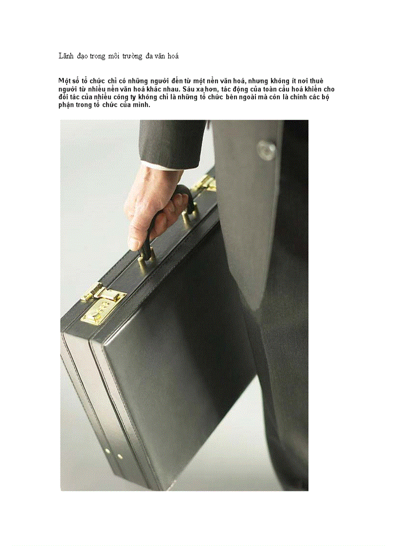 image for page Lãnh đạo trong môi trường đa văn hoá