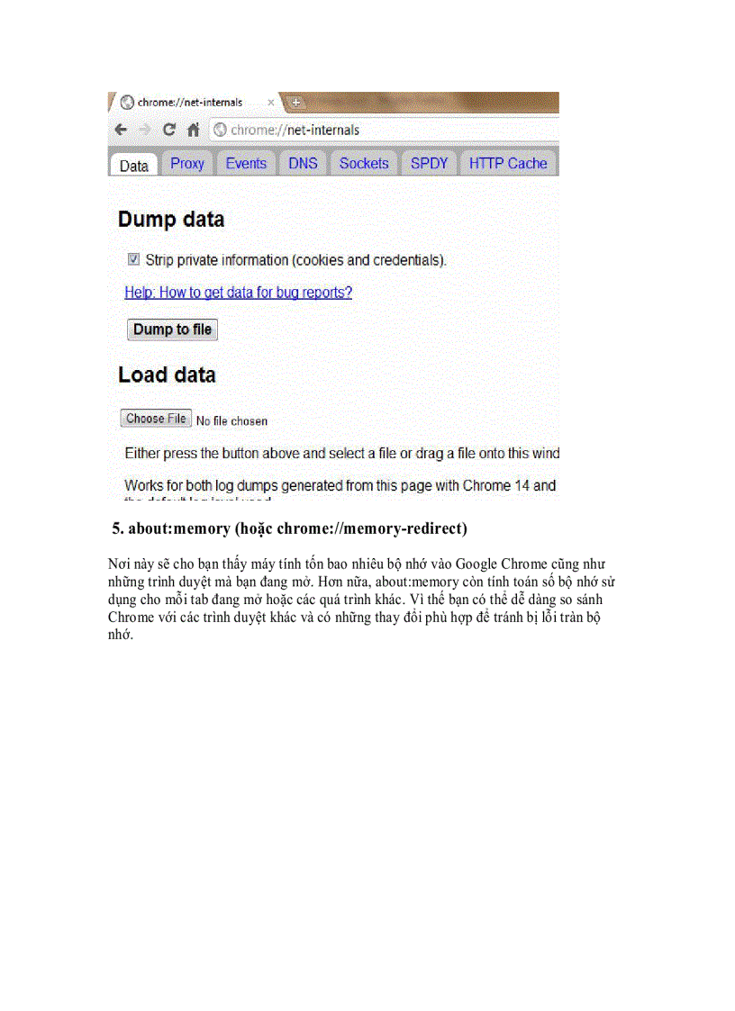 image for page Tìm hiểu những lệnh About trong Google chrome