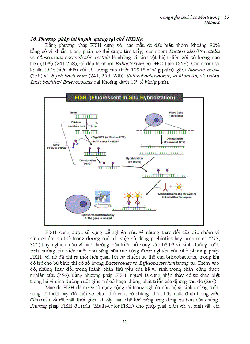 image for page Phối trộn Probiotic vào thực phẩm và mối quan hệ của probiotic với hệ tiêu hóa