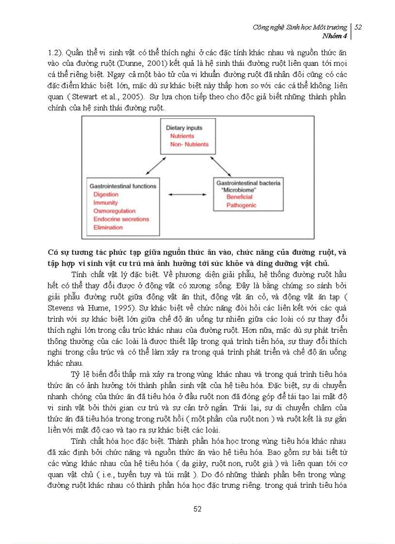 image for page Phối trộn Probiotic vào thực phẩm và mối quan hệ của probiotic với hệ tiêu hóa