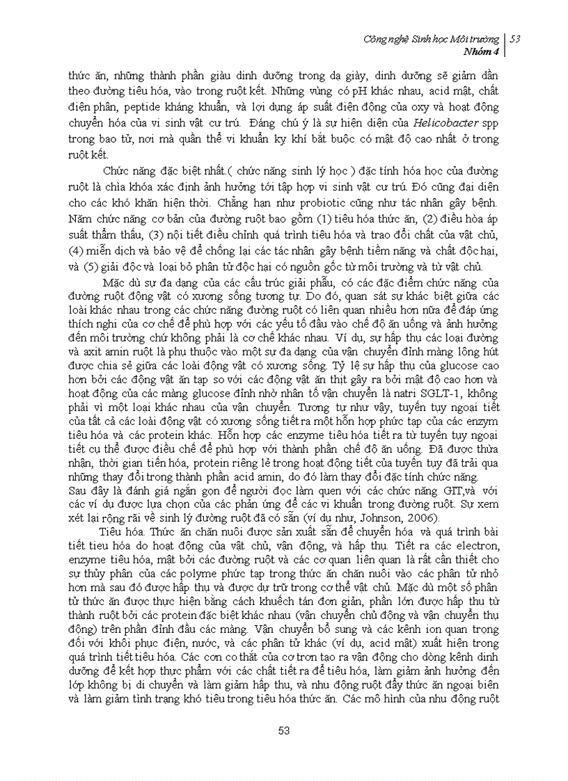 image for page Phối trộn Probiotic vào thực phẩm và mối quan hệ của probiotic với hệ tiêu hóa