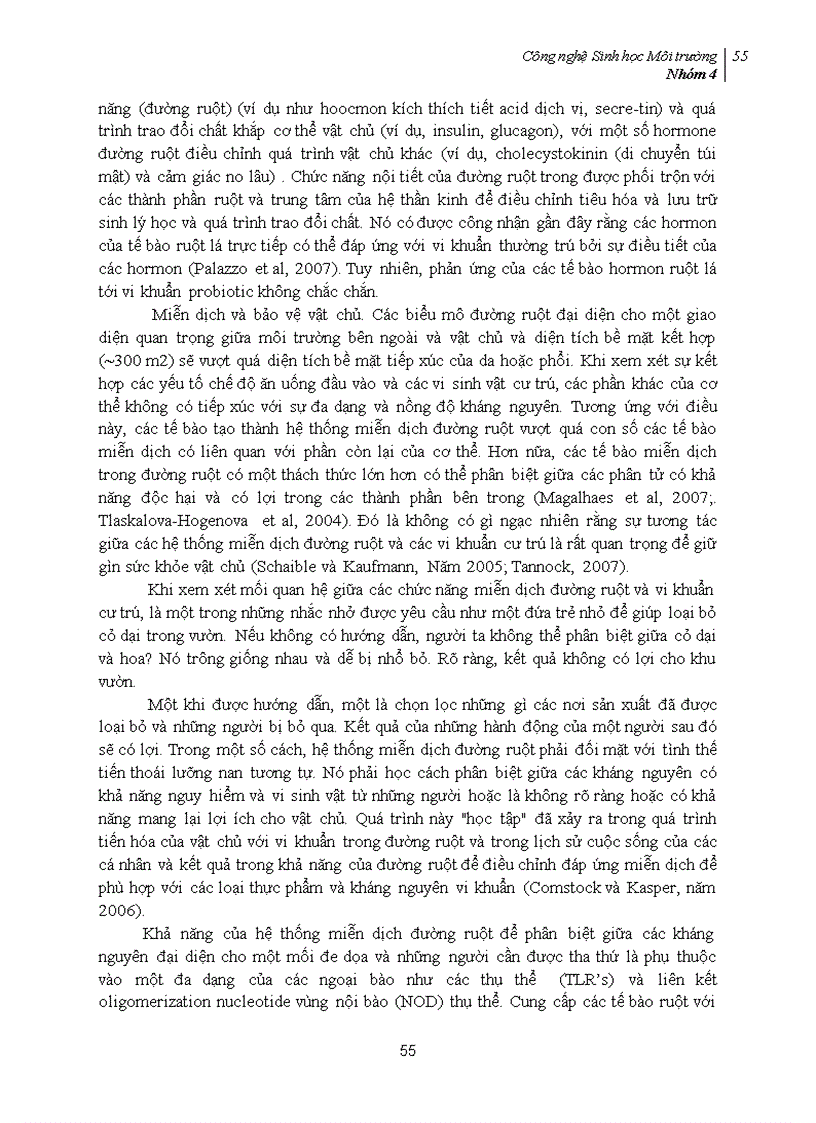 image for page Phối trộn Probiotic vào thực phẩm và mối quan hệ của probiotic với hệ tiêu hóa