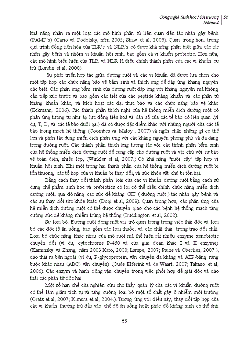 image for page Phối trộn Probiotic vào thực phẩm và mối quan hệ của probiotic với hệ tiêu hóa