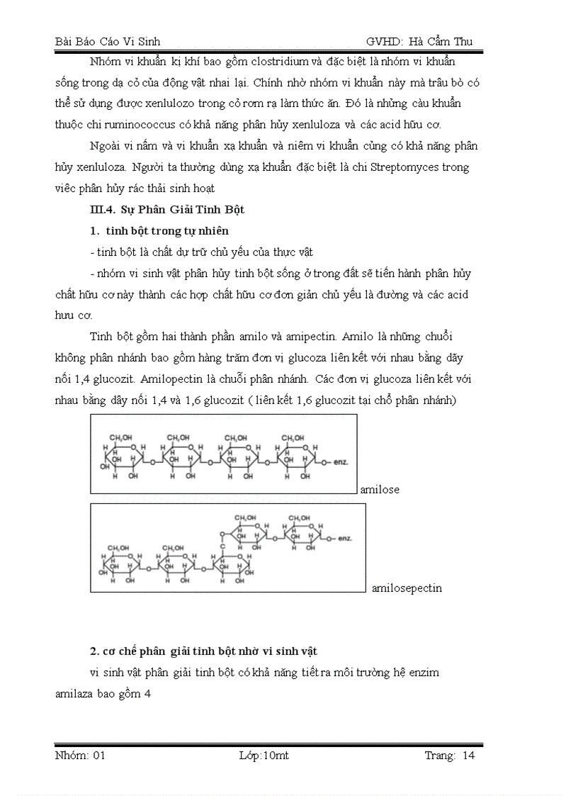 image for page Dinh dưỡng cacbon và vai trò của vi sinh vật trong vòng tuần hoàn trong tự nhiên