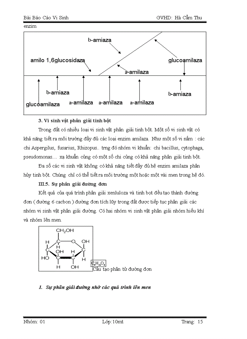 image for page Dinh dưỡng cacbon và vai trò của vi sinh vật trong vòng tuần hoàn trong tự nhiên