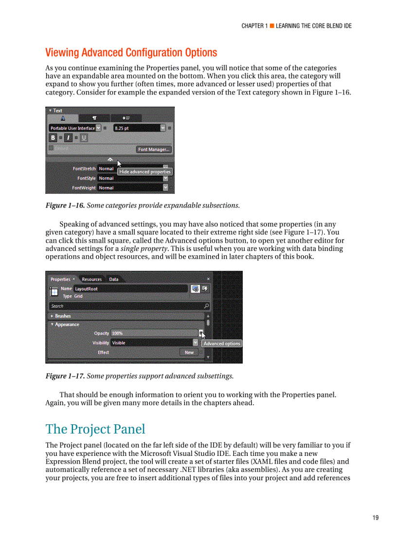 image for page Pro Expression Blend 4