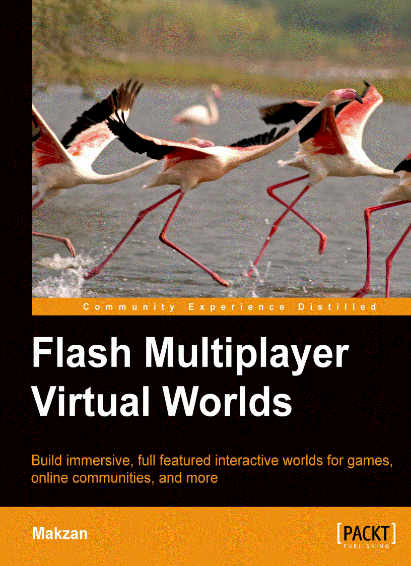 image for page Flash Multiplayer Virtual Worlds