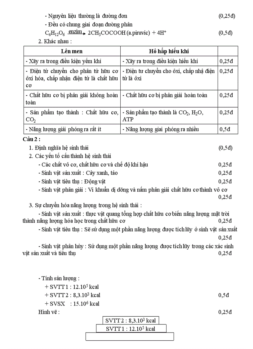 image for page Đề thi HSG môn Sinh học 12 THPT Vinh Lộc Huế 2006