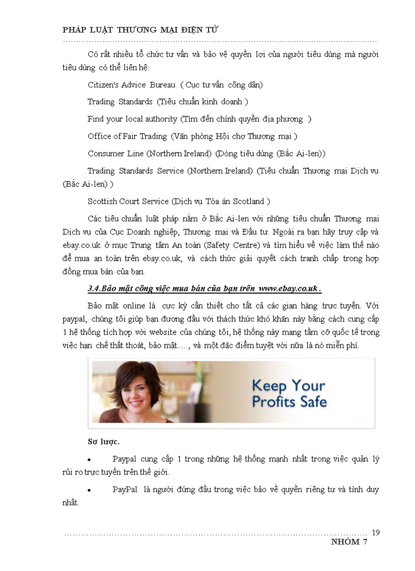 image for page Pháp luật thương mại điện tử