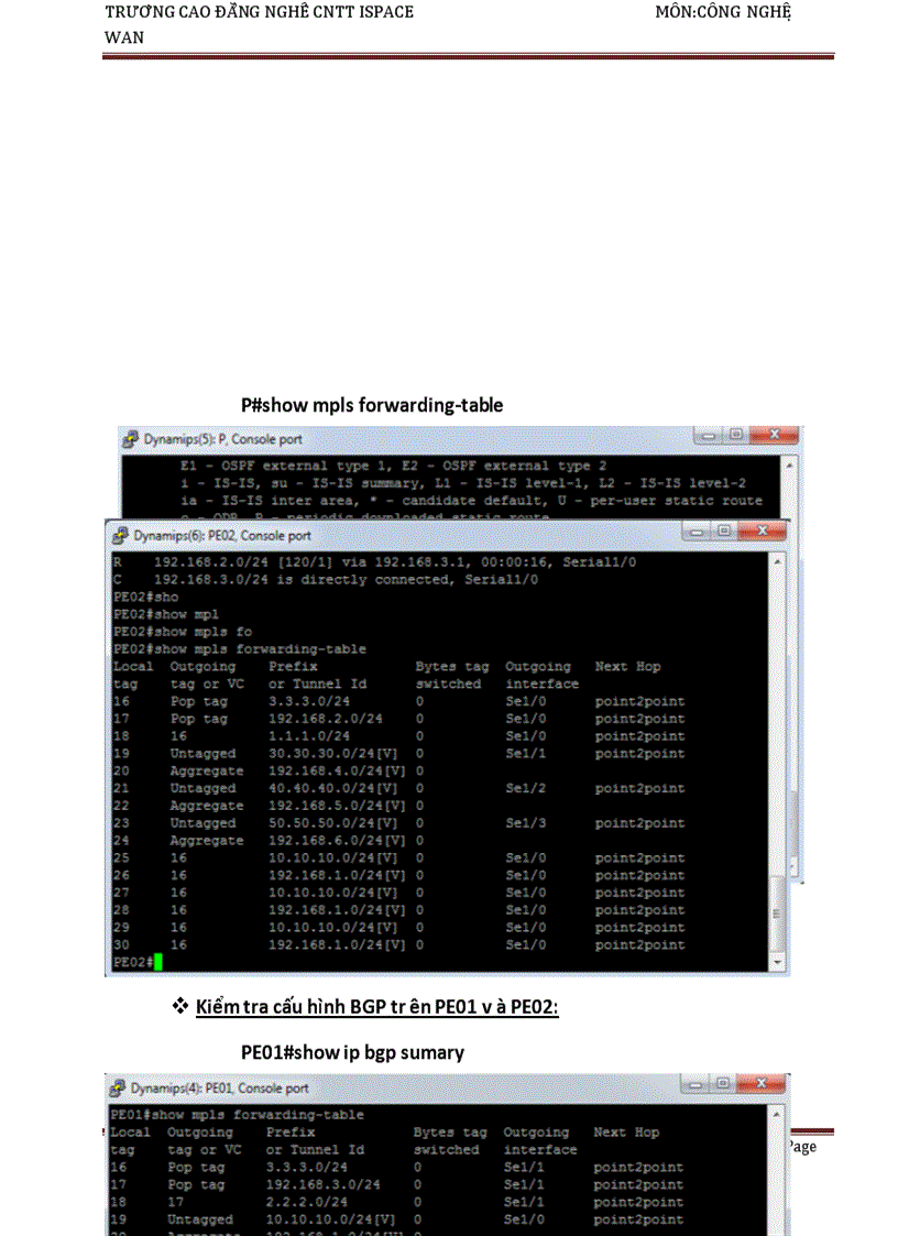 image for page Tìm hiểu công nghệ leased line frame relay dsl mô hình mpls và kỹ thuật chuyển mạch