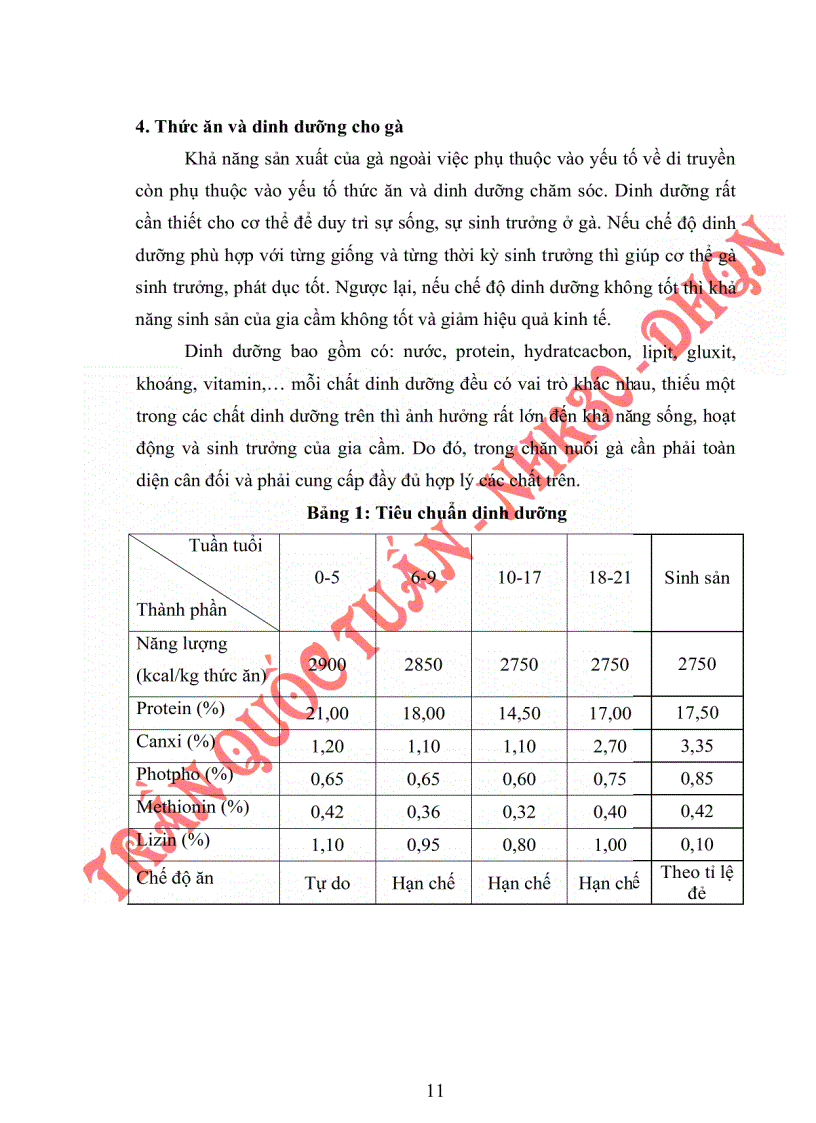 image for page Tìm hiểu quy trình nuôi đặc điểm sinh học của gà ai cập nuôi tại trạm thực nghiêm vật nuôi diêu tri