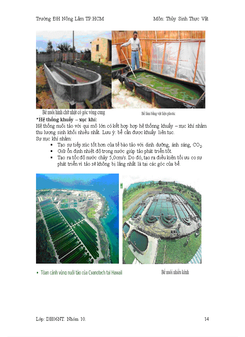 image for page Kĩ thuật trồng tảo Spirulina