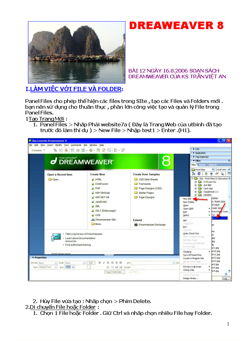 image for page Giáo trình DREAMWEAVER8 Bài 12 PanelFiles2