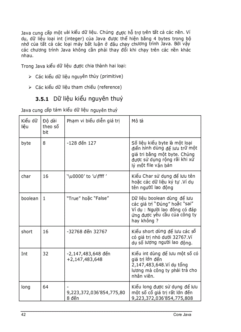 image for page CoreJava Chương 3 Nền tảng của ngôn ngữ Java