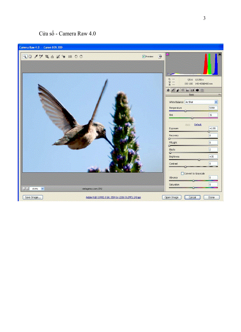 image for page Tiến trình xử lý kỹ thuật số Digital Workflow CS3