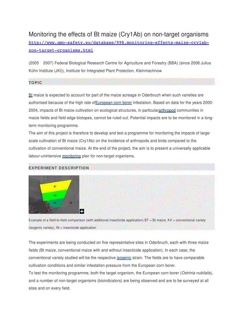 image for page Monitoring the effects of Bt maize Cry1Ab on non target organisms