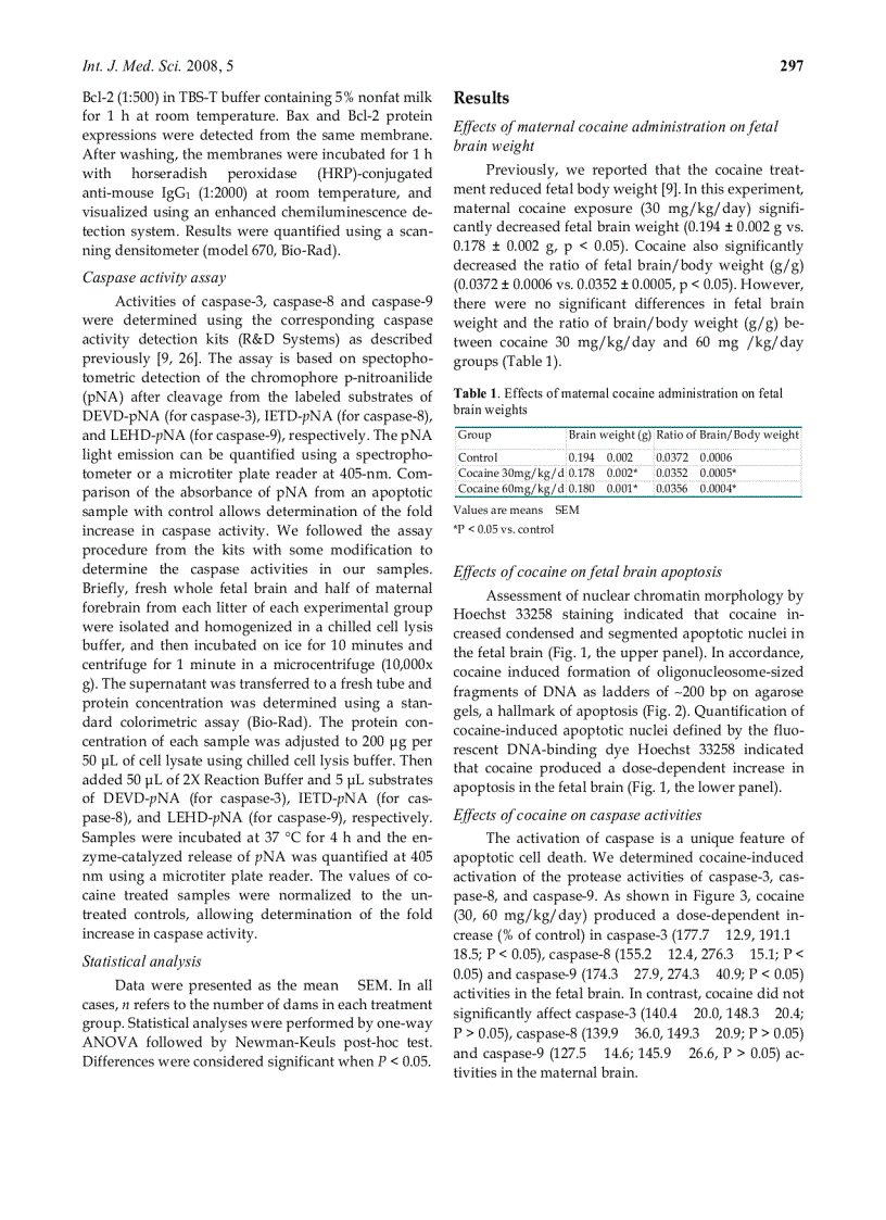 image for page Báo cáo y học Upregulation of Bax and Bcl 2 following prenatal cocaine exposure induces apoptosis in fetal rat brain