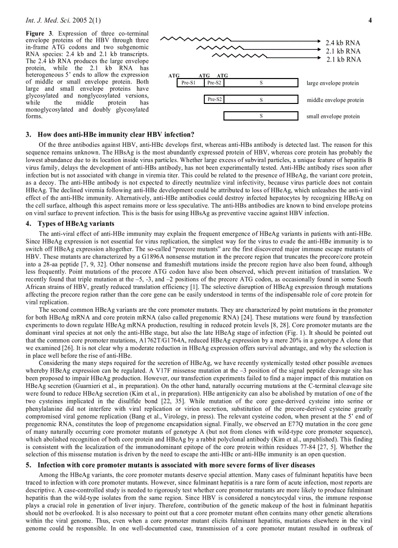 image for page Báo cáo y học Hepatitis B Virus e Antigen Variants