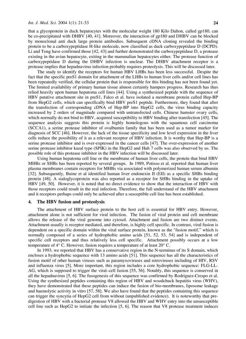 Báo cáo y học Study of the early steps of the Hepatitis B Virus life cycle