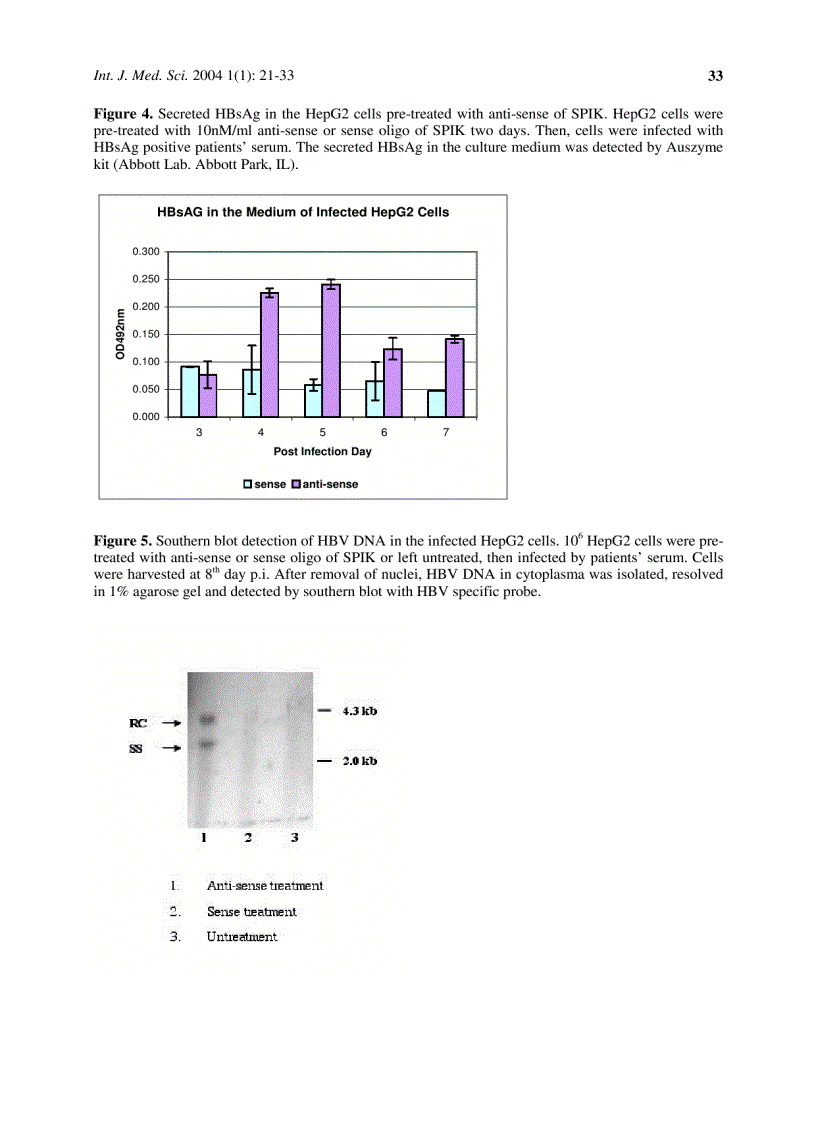 image for page Báo cáo y học Study of the early steps of the Hepatitis B Virus life cycle