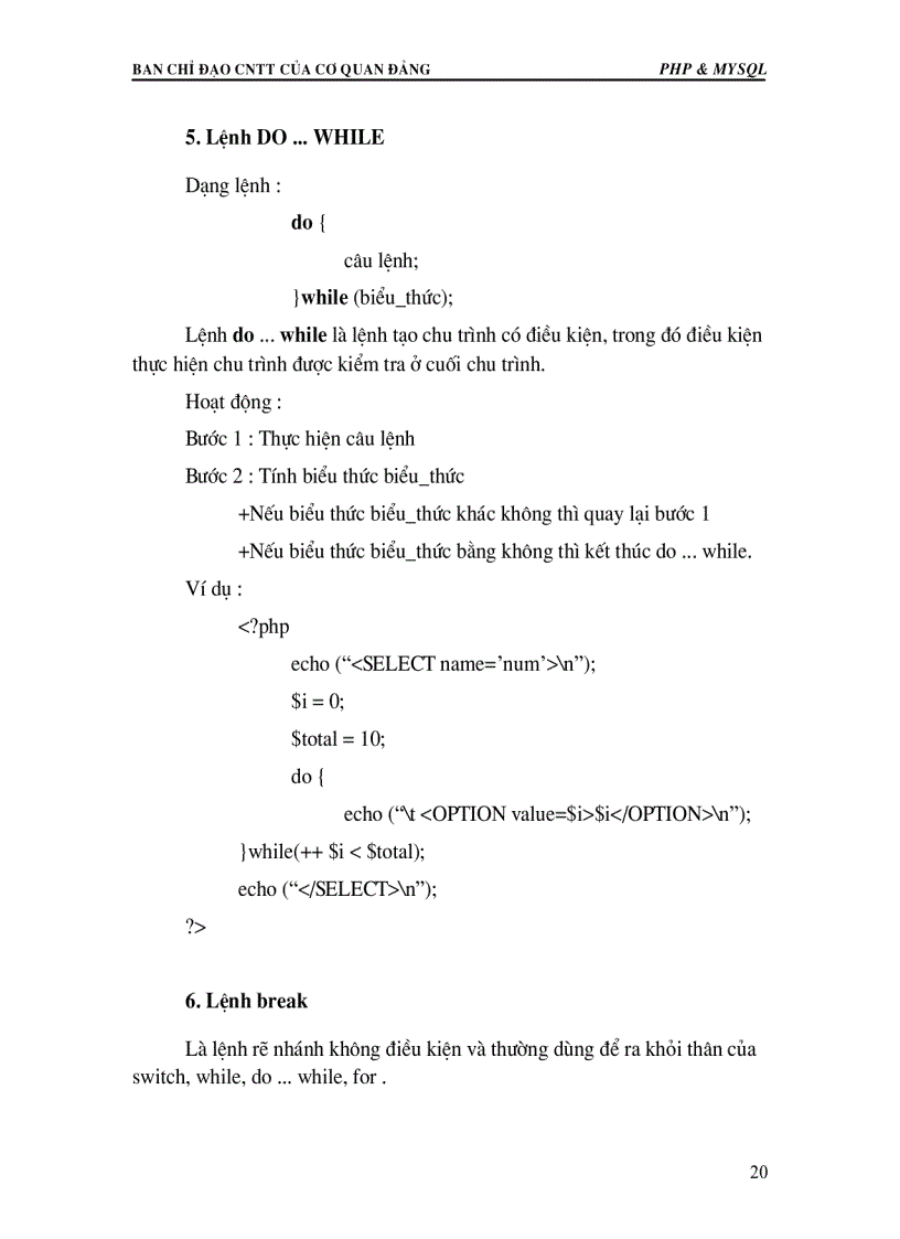 image for page Lập trình pHP