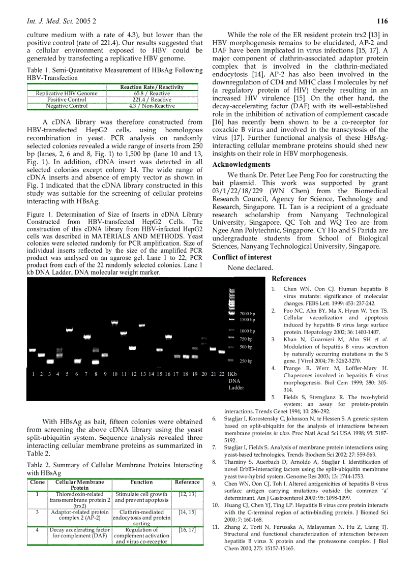 image for page Báo cáo y học Identification of Cellular Membrane Proteins Interacting with Hepatitis B Surface Antigen using Yeast Split Ubiquitin System