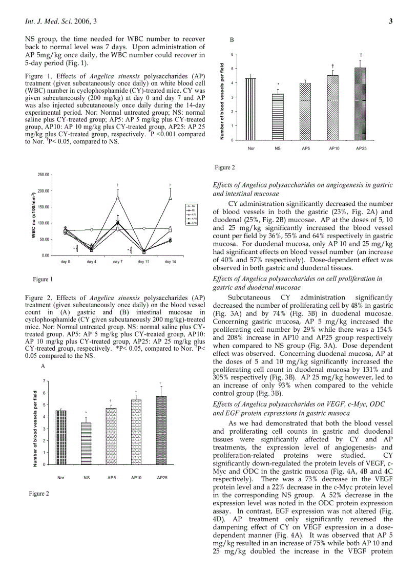 Báo cáo y học Polysaccharides from the root of Angelica sinensis protect bone marrow and gastrointestinal tissues against the cytotoxicity of cyclophosphamide in mice