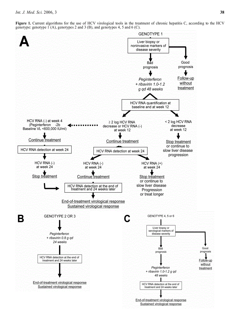 image for page Báo cáo y học Hepatitis C Virus Serologic and Virologic Tests and Clinical Diagnosis of HCVRelated Liver Disease