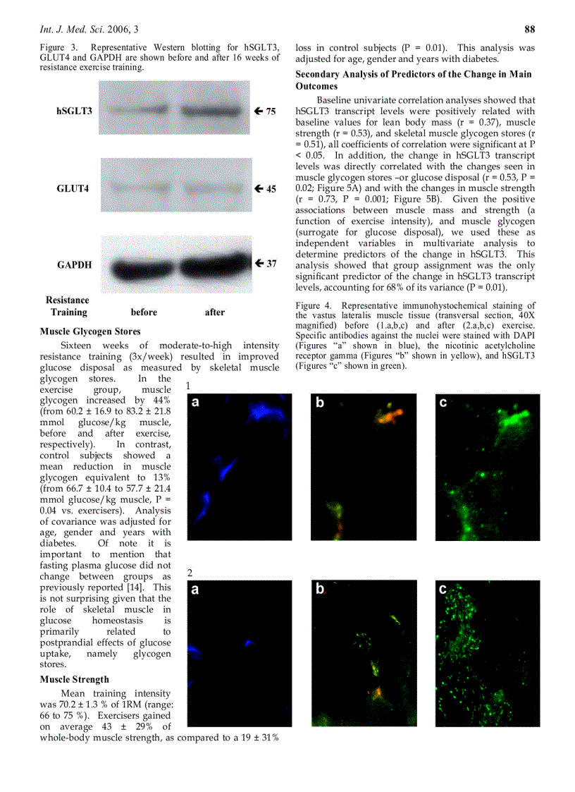image for page Báo cáo y học Skeletal muscle sodium glucose co transporters in older adults with type 2 diabetes undergoing resistance training
