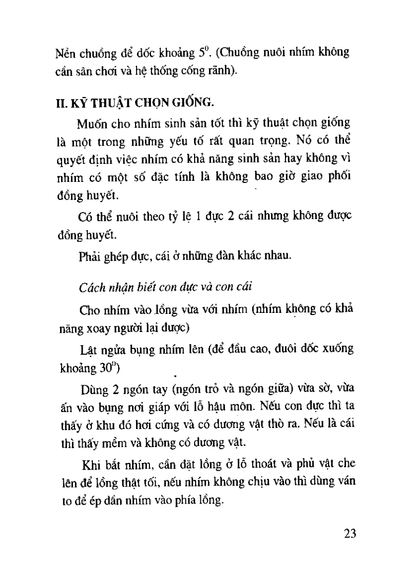 image for page Kỹ thuật làm giàu từ nuôi nhím 4