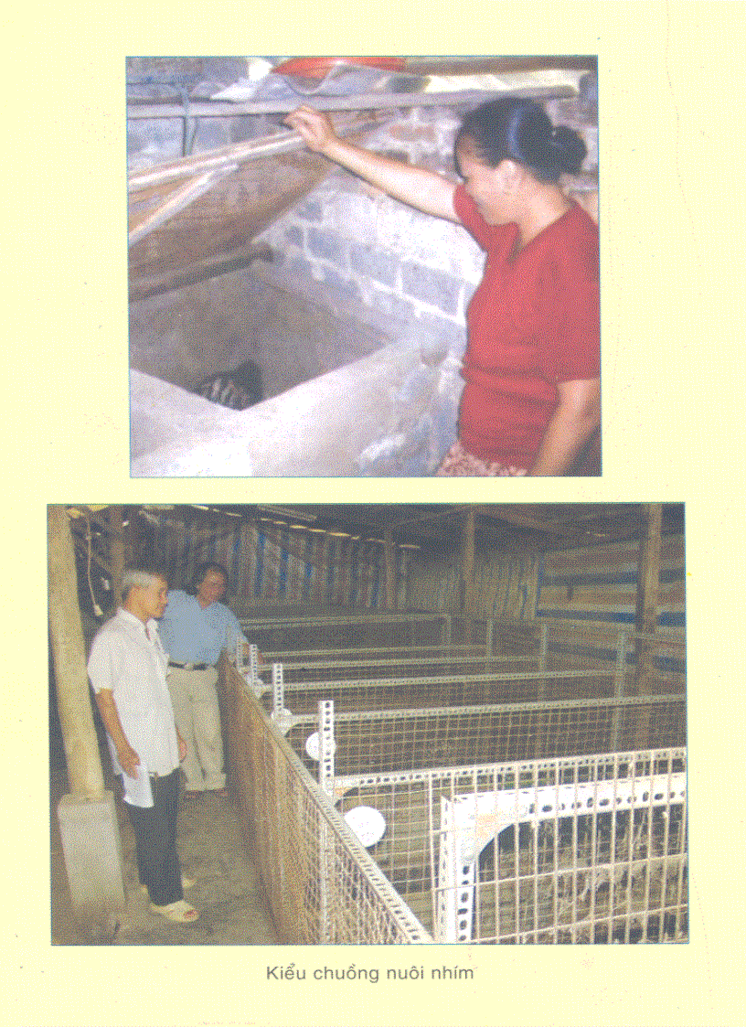 image for page Kỹ thuật làm giàu từ nuôi nhím 4