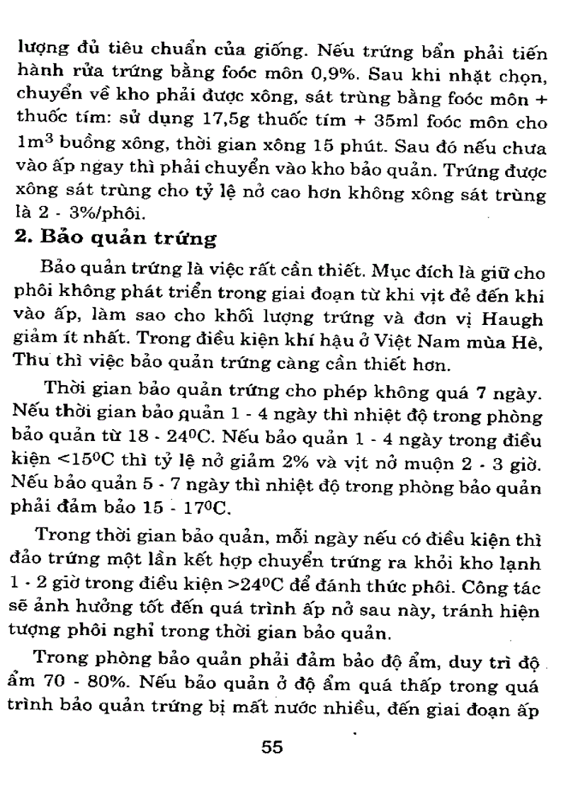 image for page Chăn nuôi vịt trên cạn một kỹ thuật mới 2