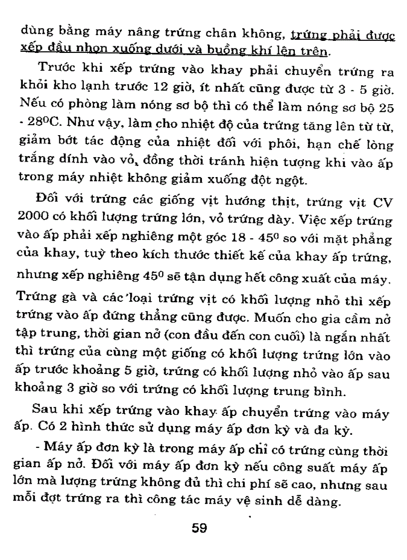image for page Chăn nuôi vịt trên cạn một kỹ thuật mới 2