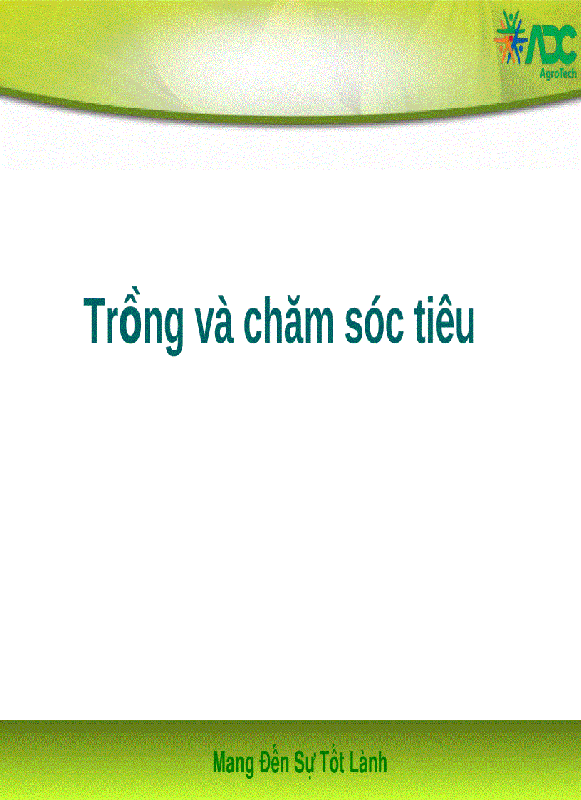 image for page Kỹ thuật trồng và chăm sóc tiêu