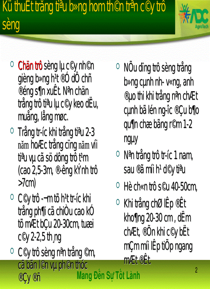 image for page Kỹ thuật trồng và chăm sóc tiêu