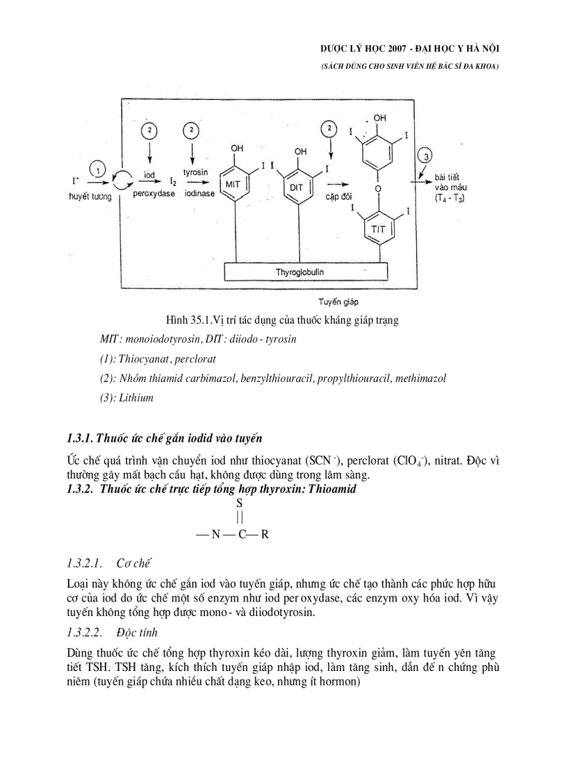 image for page Dược lý học Hormon và thuốc kháng Hormon