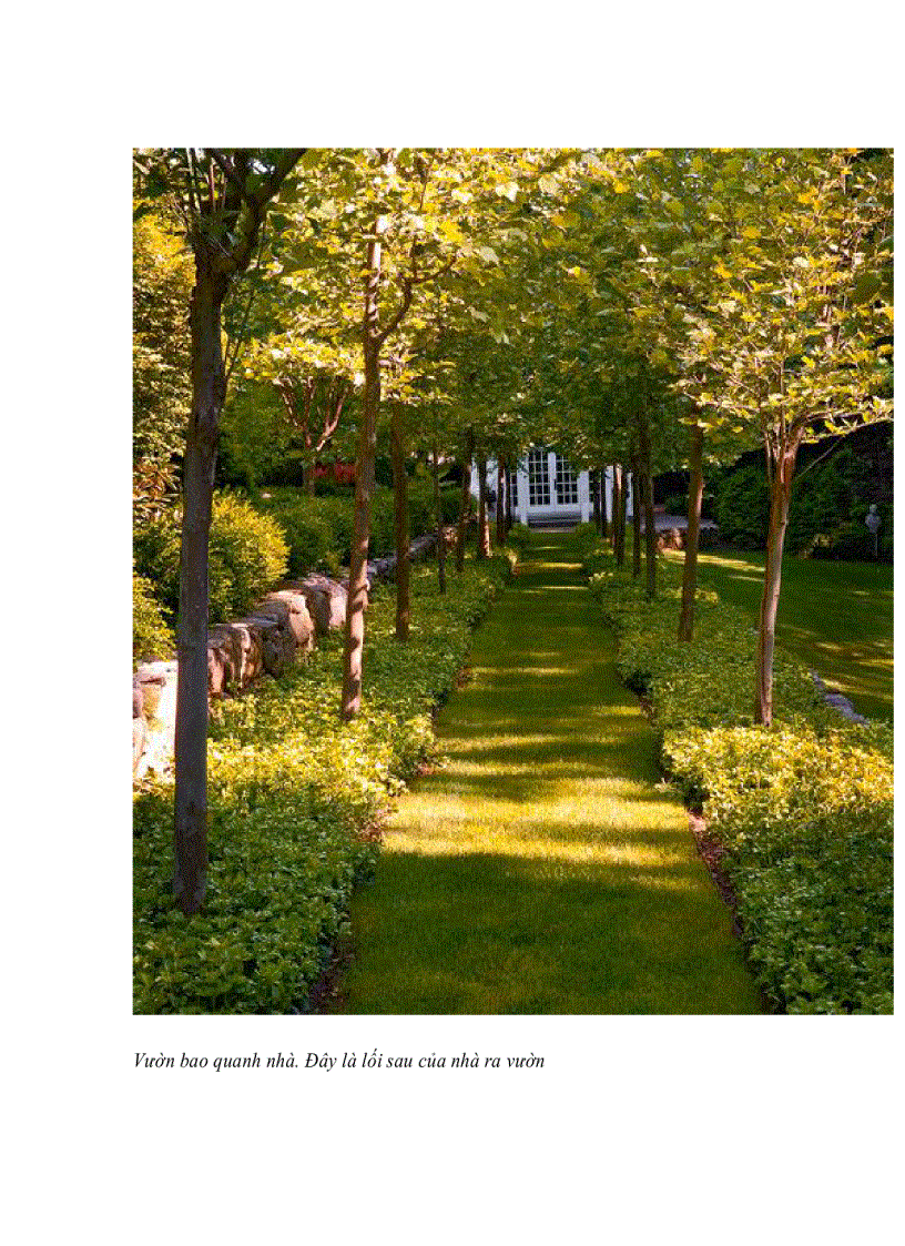 image for page Bộ sưu tập lối đi đẹp và phong cách cho khu vườn của bạn