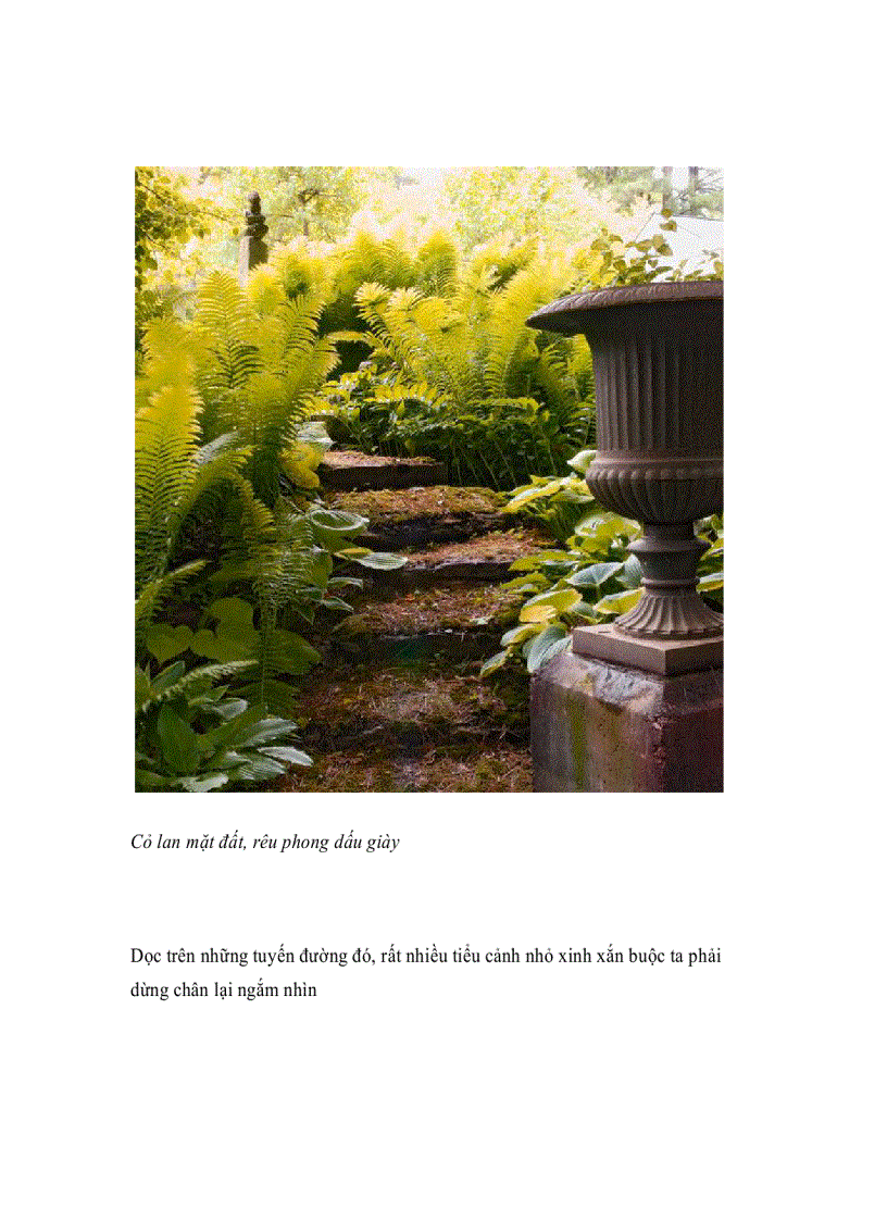 image for page Bộ sưu tập lối đi đẹp và phong cách cho khu vườn của bạn