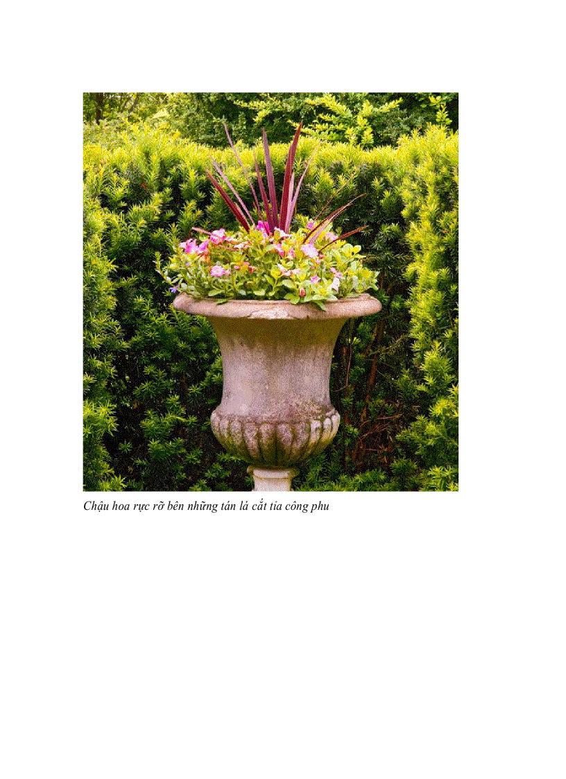 image for page Bộ sưu tập lối đi đẹp và phong cách cho khu vườn của bạn